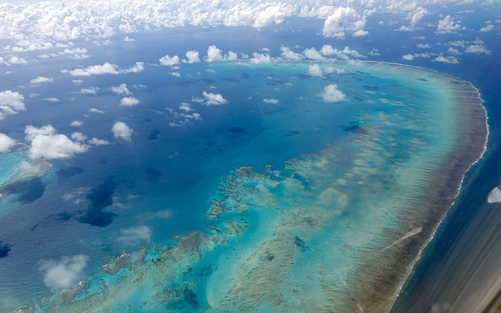 Global warming: Half of Great Barrier Reef’s corals died in 25 years