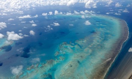 Global warming: Half of Great Barrier Reef’s corals died in 25 years