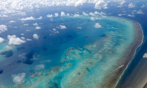 Global warming: Half of Great Barrier Reef’s corals died in 25 years