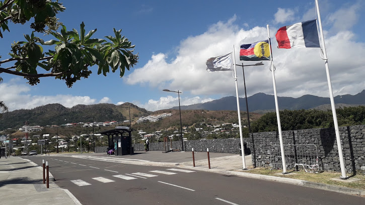 Independence of New Caledonia: a document with consequences