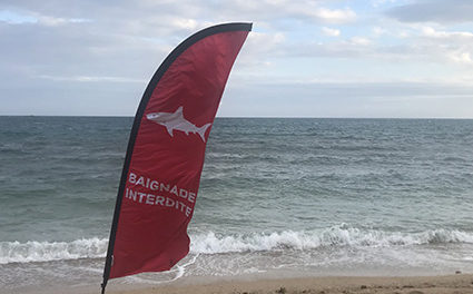Australian tourist reportedly killed by bulldog shark